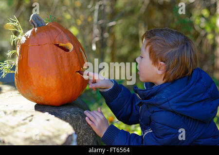 Garçon assis en face d'un Halloween citrouille, Bavière, Allemagne Banque D'Images