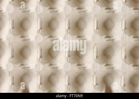 Détail de bac à œufs vides Banque D'Images