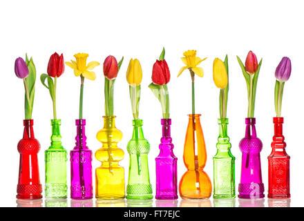 Fleurs de Printemps tulipes et jonquilles dans des bouteilles de couleur sur fond blanc Banque D'Images