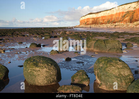 Plage de Hunstanton avec les rochers couverts d'algues et les falaises carstone. Banque D'Images