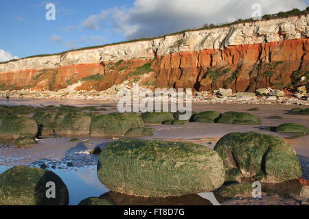 Plage de Hunstanton avec les rochers couverts d'algues et les falaises carstone. Banque D'Images