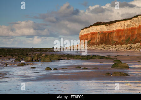 Plage de Hunstanton avec les rochers couverts d'algues et les falaises carstone. Banque D'Images