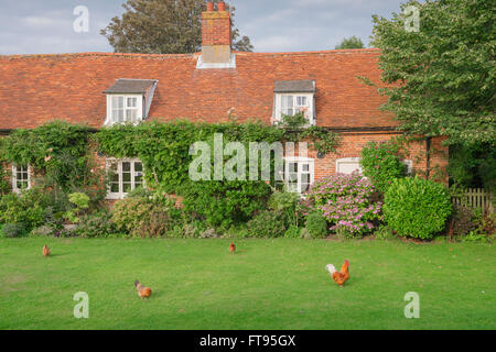 Angleterre Anglais village vert, vue sur un cottage et vert dans Quay Street à Orford, Suffolk, Angleterre, Royaume-Uni. Banque D'Images