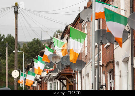 L'Ouest de Belfast, en Irlande. 25 mars, 2016. Beaucoup de maisons dans l'Ouest de Belfast déployer le drapeau de la République d'Irlande au cours de l'Preperations pour commémorer le 100e anniversaire de l'Insurrection de Pâques Crédit : Bonzo/Alamy Live News Banque D'Images