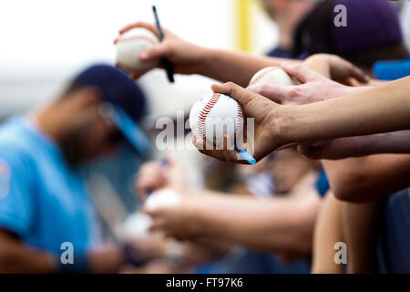 Port Charlotte, en Floride, aux États-Unis. Mar 25, 2016. Vous VRAGOVIC | fois.Fans de l'espoir pour des autographes hold ball le long du mur de champ droit avant le début du jeu entre les Rays de Tampa Bay et les Twins du Minnesota à Charlotte Sports Park à Port Charlotte, en Floride, le vendredi 25 mars, 2016. © Vous Vragovic/Tampa Bay Times/ZUMA/Alamy Fil Live News Banque D'Images