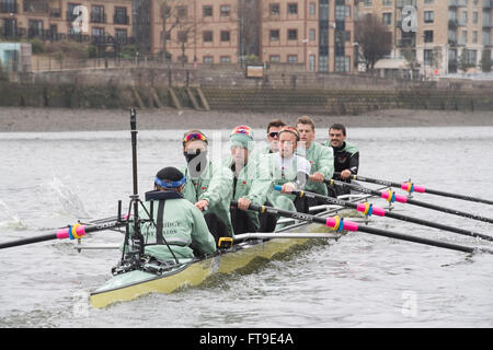 Londres, Royaume-Uni. Mar 26, 2016. La Boat Race. Le Cancer Research UK des courses de bateaux en 2016. Tenue sur le Tideway, Tamise entre Putney et Mortlake, Londres, Angleterre, Royaume-Uni. Tideway Semaine. (Pratique en plein air au cours de la semaine précédant les courses qui ont lieu le dimanche de Pâques 27 mars 2016.) l'Université de Cambridge (CUBC) équipage bleu sur une pratique sortie. Credit : Duncan Grove/Alamy Live News Banque D'Images