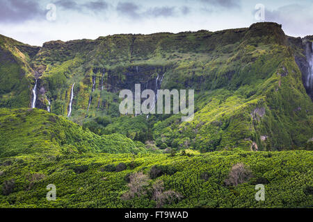 Paysage dans l'île de Flores aux Açores. Cascades de Pozo da Alagoinha. Portugal Banque D'Images