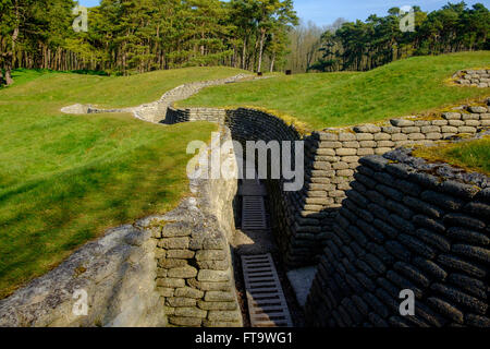 La Première Guerre mondiale, tranchées restaurées à la crête de Vimy, France, Europe Banque D'Images