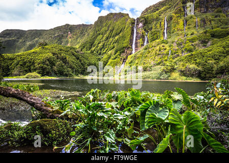 Paysage aux Açores avec cascades et falaises de l'île de Flores. Le Portugal. Banque D'Images