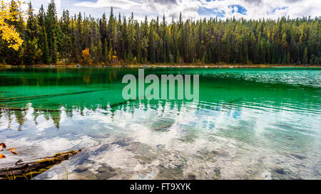 La couleur turquoise du lac d'abord sur la Vallée des cinq lacs Trail dans le parc national Jasper dans les Rocheuses canadiennes en Alberta, Canada Banque D'Images