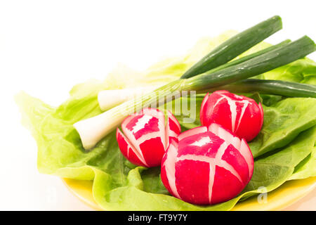 Salade de radis, la laitue et les oignons de printemps. Banque D'Images