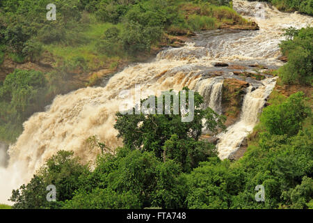 Uhuru Falls Murchison Falls National Park , de l'Ouganda. Banque D'Images