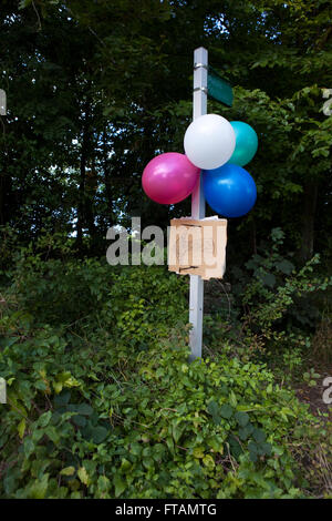 Ballons attachés avec un carton sign énoncées dans le pays, le panneau indique avec une flèche et les ballons signifie qu'une partie est en cours et indique la direction dans laquelle elle se tient. Banque D'Images