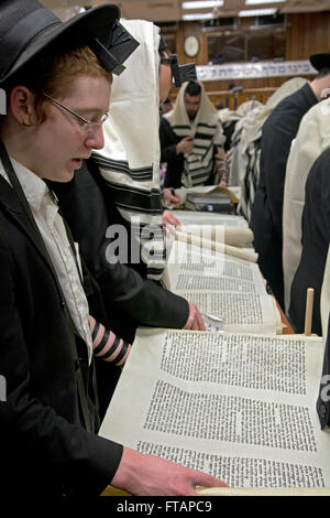 Les hommes et les garçons juifs religieux la lecture de la Méguila de Pourim dans une synagogue à Crown Heights, Brooklyn, New York. Banque D'Images