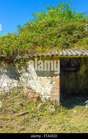 Vieille ferme abandonnée en ruine Banque D'Images