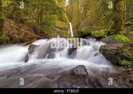 Ci-dessous Dry Creek Falls le long de Pacific Crest Trail Dans la région de Columbia River Gorge Oregon Banque D'Images