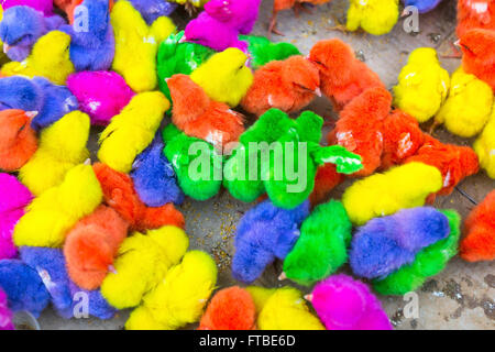 Poulets colorés dans une boîte au marché asiatique. Banque D'Images