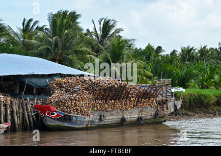 Un cargo offre de coco à une opération de traitement dans le Delta du Mékong près de Ben Tre, Vietnam Banque D'Images