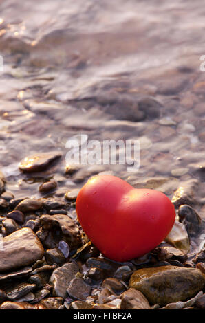 Forme rouge coeur sur rock et shell plage nature Banque D'Images