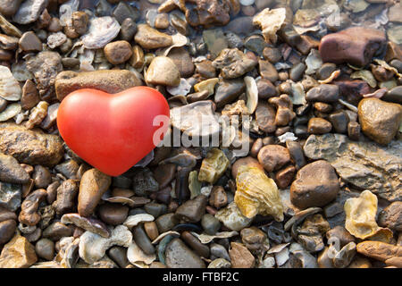 Forme rouge coeur sur rock et shell plage nature Banque D'Images