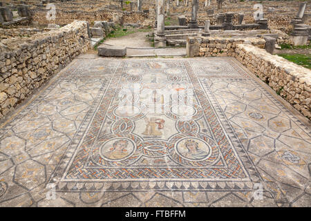 UNESCO World Heritage Site, Maroc - vestiges romains et mosaïques. Mosaïque des quatre saisons dans la maison des travaux d'Hercule Banque D'Images