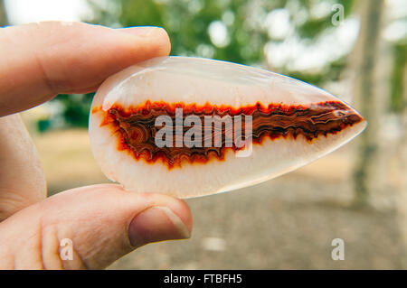 L'Afrique de l'onyx agate druzy naturel minéral pierre sur emplacement dans park Banque D'Images