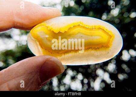 L'Afrique de l'onyx agate druzy naturel minéral pierre sur emplacement dans park Banque D'Images