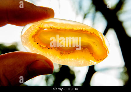 L'Afrique de l'onyx agate druzy naturel en pierre minérale emplacement dans park Banque D'Images