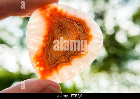 L'Afrique de l'onyx agate druzy naturel en pierre minérale emplacement dans park Banque D'Images