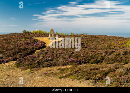 Point de triangulation, Parys, montagne, Holyhead Anglesey, Pays de Galles, Royaume-Uni Banque D'Images