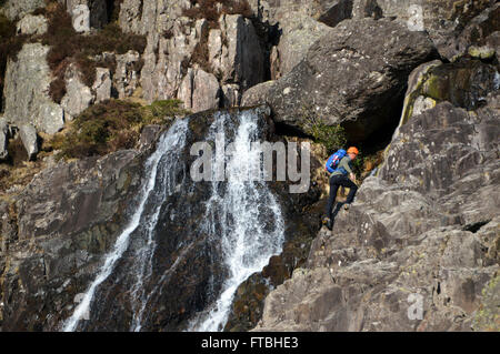 Jeune homme Escalade de cascades en Stickle Ghyll à Langdale,Cumbria UK. Banque D'Images