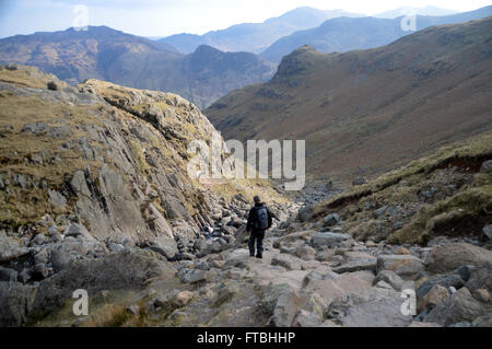 Un homme seul marche dans Fellwaker Stickle Ghyll de Stickle Tarn, Langdale Fells, Cumbria UK. Banque D'Images