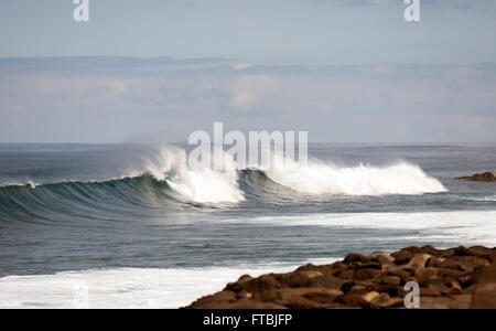 Vagues se brisant sur le rivage de l'île de Madère au Portugal coast mear Sao Vincence Banque D'Images