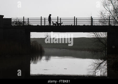 Dog walker avec les chiens comme une silhouette sur le haut pont, Aldreth, Cambridgeshire Banque D'Images