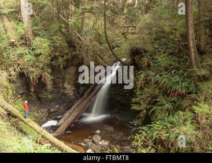 Payzant Creek, comme le montre le long de la dorsale Juan de Fuca Trail Banque D'Images