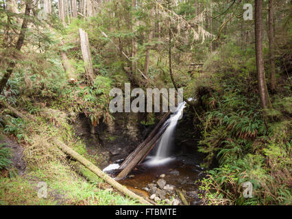 Payzant Creek, comme le montre le long de la dorsale Juan de Fuca Trail Banque D'Images