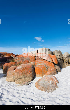 La baie d'incendie en Tasmanie est fait de lichens orange-couverts les rochers de granit, Tasmanie, Australie Banque D'Images