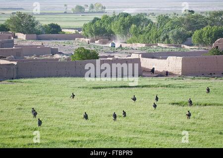 Les parachutistes de l'armée américaine avec le 73e Régiment de cavalerie traverser un champ agricole portes ouvertes avec des soldats afghans lors d'une patrouille le 17 mai 2012, dans la province de Ghazni, Afghanistan. Banque D'Images