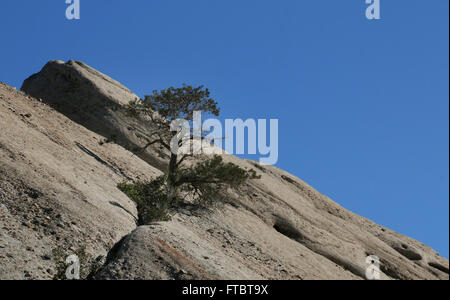 Devil's Punchbowl Natural Area Comté de Los Angeles San Andres fracture défaut canyon bluff et Punchbowl Pinyon Défauts mountain Banque D'Images