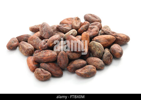 Les fèves de cacao cacao brut sur fond blanc Banque D'Images