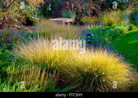 L'Herbe Fontaine miniature Banque D'Images