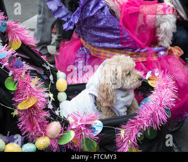 Un chien dans un décor sur le thème de Pâques poussette à l'Easter Parade annuelle et bonnet festival à New York City Banque D'Images