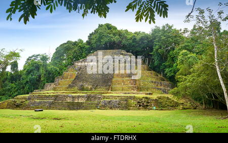 Temple de Jaguar, les anciens Mayas Lamanai ruines, Belize Banque D'Images