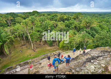 Les touristes d'admirer la vue du Yucatan depuis le haut des ruines du temple, les anciens Mayas, Lamanai, Belize Banque D'Images