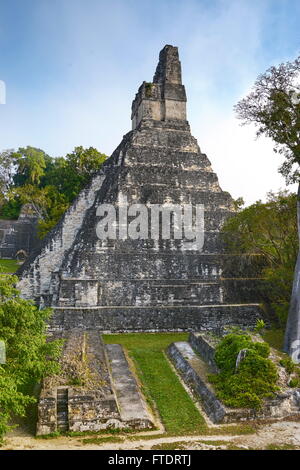 Ruines mayas - Temple du Grand Jaguar (Templo del Gran Jaguar), Parc national de Tikal, Guatemala, l'UNESCO Banque D'Images