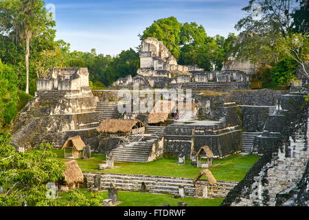 Les anciens Mayas, ruines, le parc national de Tikal, Guatemala, l'UNESCO Banque D'Images