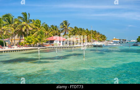 L'île des Caraïbes Caye Caulker, Belize, Amérique Centrale Banque D'Images
