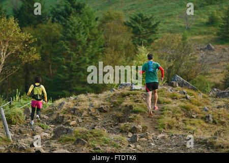 Trail runners au Mont Daibosatsu, préfecture de Yamanashi, Japon Banque D'Images