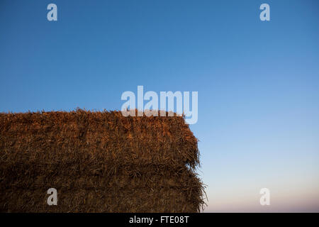 Bottes de foin empilées dans la campagne et la nationalité par la lumière de fin de soirée à la fin de la saison de récolte. Banque D'Images