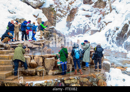 Les touristes à regarder la neige les singes à Jigokudani's Hot spring, au Japon. Banque D'Images